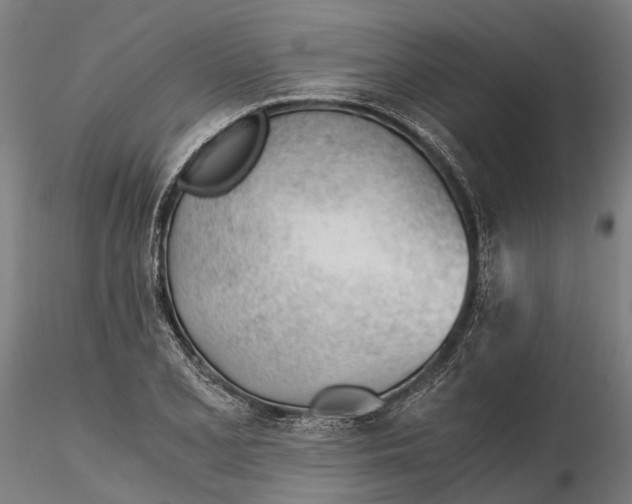 X0000115681077200912031414