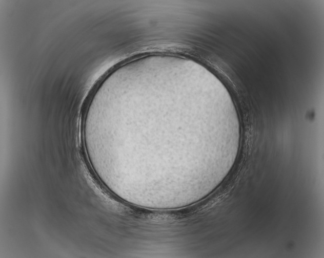 X0000115681079200912031414