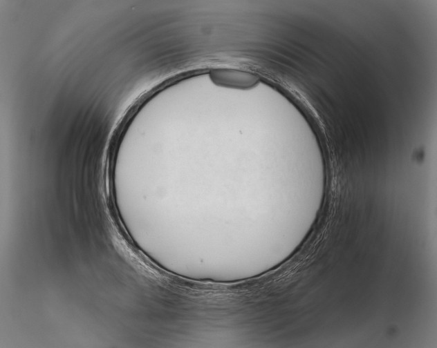 X0000115681080200912031414