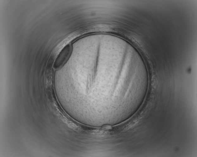 X0000115681081200912031414