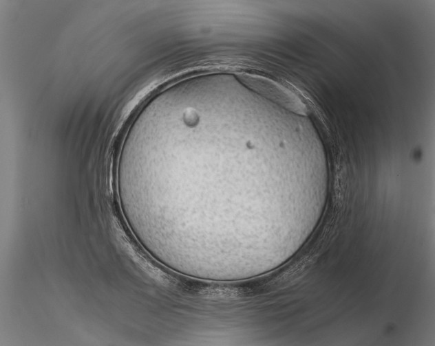 X0000115681083200912031414