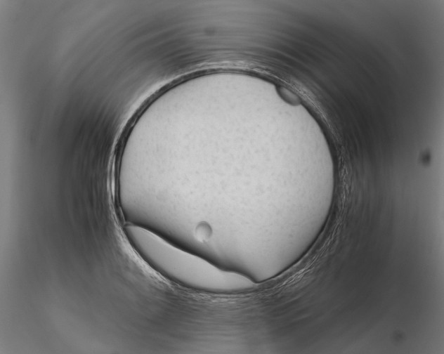 X0000115681084200912031414