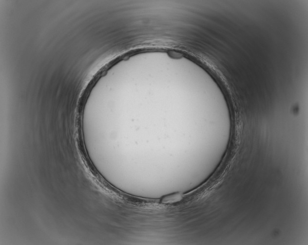 X0000115681085200912031414