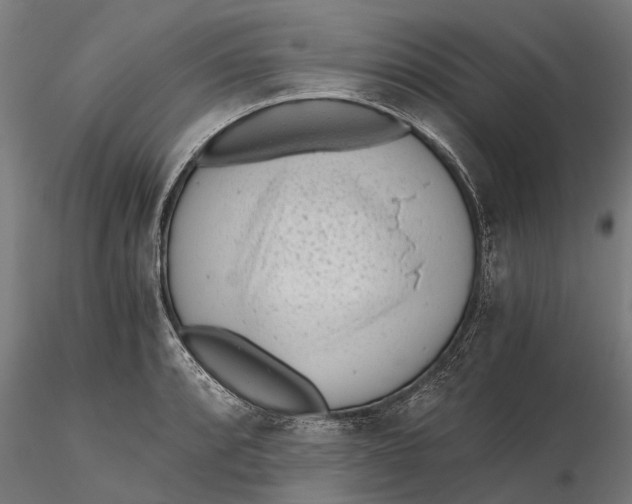 X0000115681088200912031414