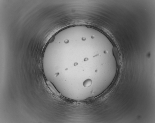 X0000115681089200912031414