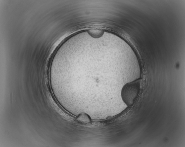 X0000115681091200912031414