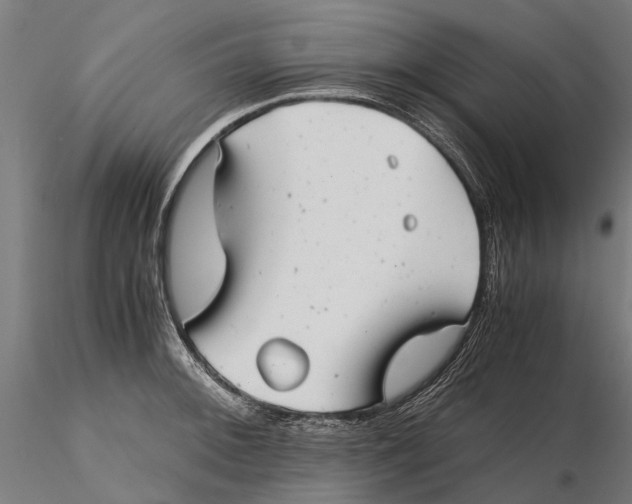 X0000115681092200912031414