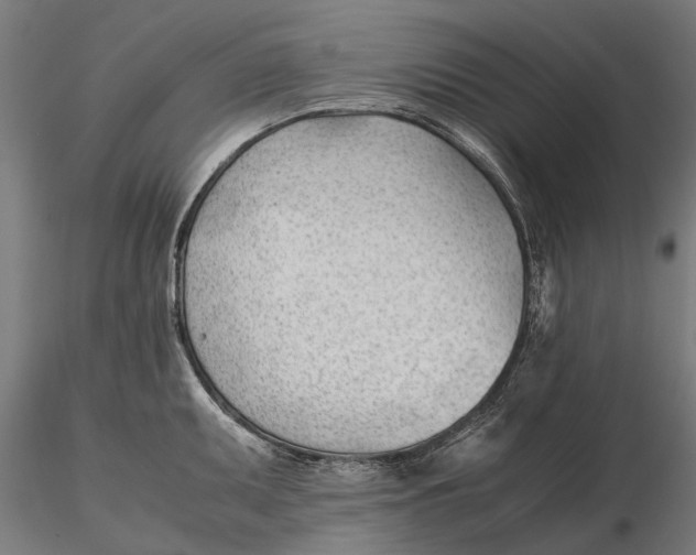 X0000115681095200912031414