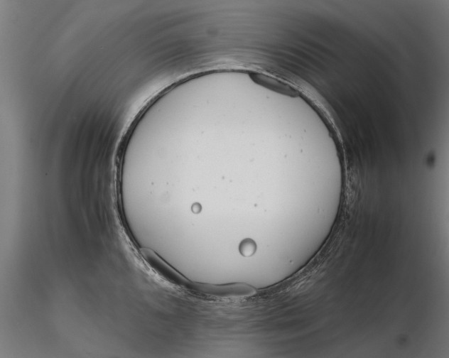 X0000115681096200912031414