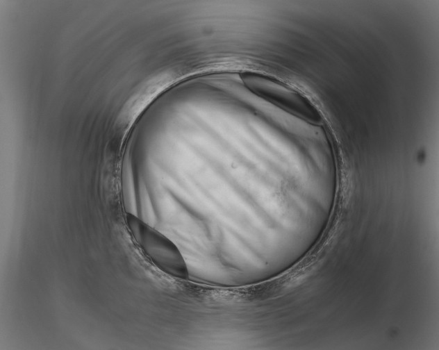 X0000115681097200912031414