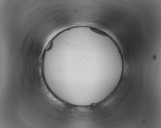 X0000115681102200912031413