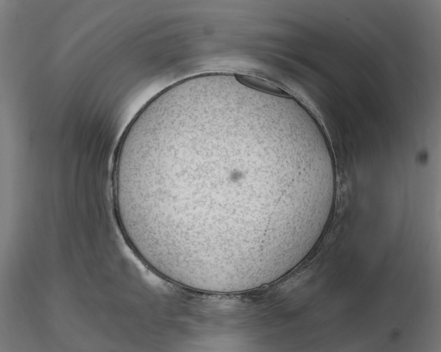 X0000115681103200912031413