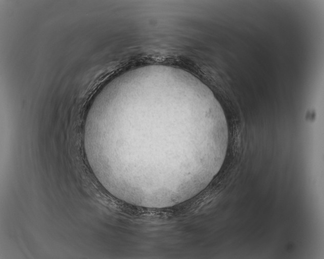 X0000115681105200912031413