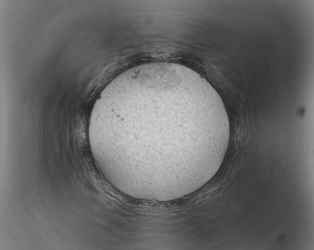 X0000115681106200912031413