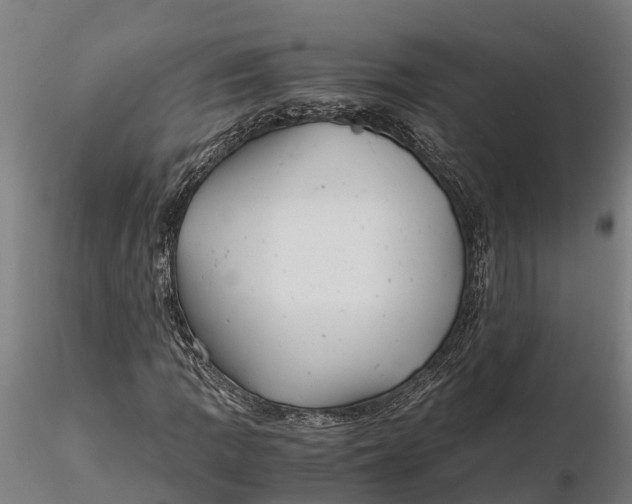 X0000115681109200912031413