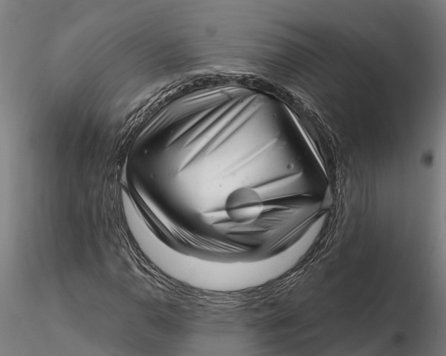 X0000115681110200912031413