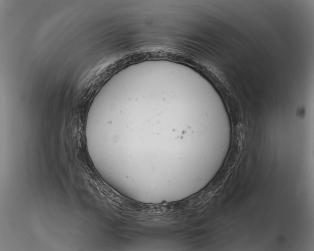 X0000115681111200912031413