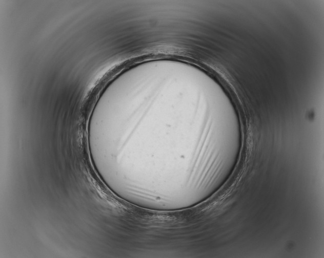 X0000115681115200912031413