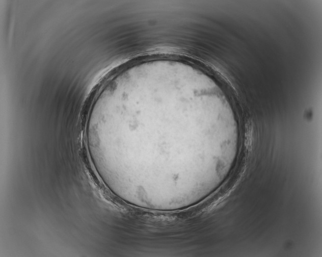 X0000115681117200912031413