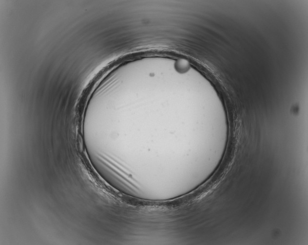 X0000115681118200912031413