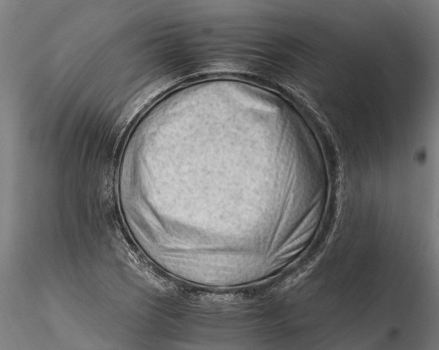 X0000115681121200912031413