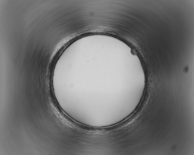 X0000115681122200912031413