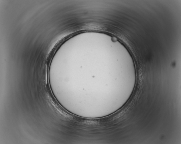 X0000115681123200912031413