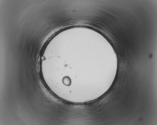 X0000115681126200912031413