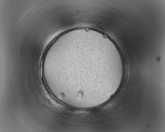 X0000115681127200912031413