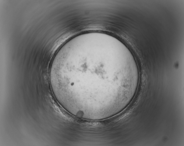 X0000115681129200912031413