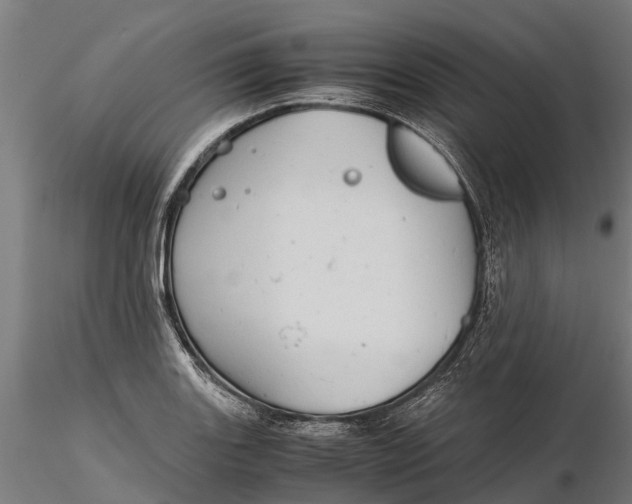 X0000115681131200912031413