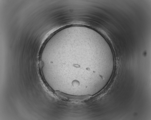 X0000115681133200912031413