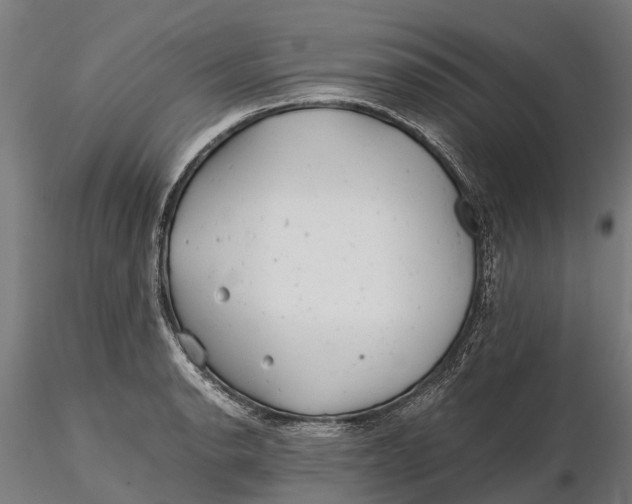 X0000115681134200912031413