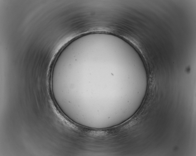 X0000115681135200912031413