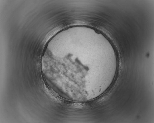 X0000115681137200912031413