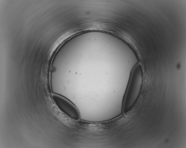 X0000115681138200912031413