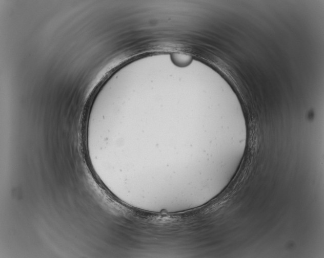 X0000115681139200912031413