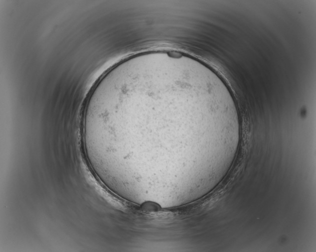 X0000115681142200912031413