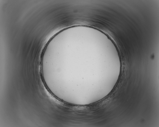 X0000115681143200912031413