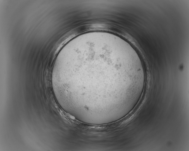 X0000115681145200912031413