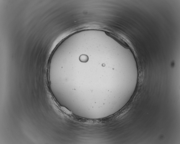 X0000115681146200912031413