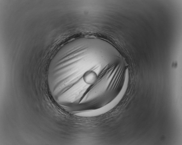 X0000115681153200912031413