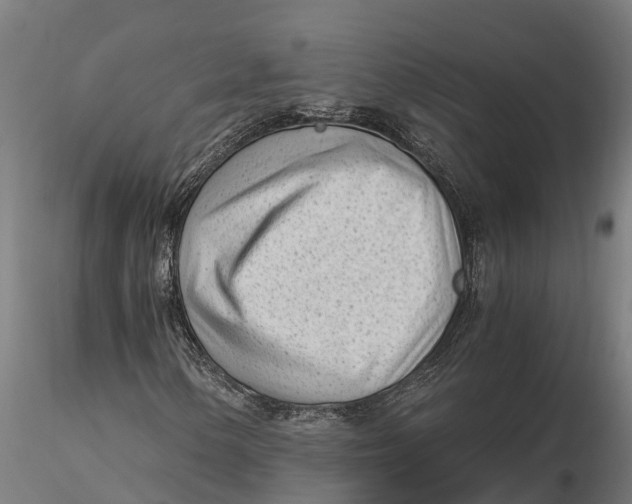 X0000115681154200912031413