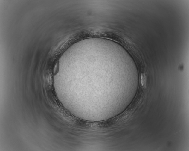 X0000115681155200912031413