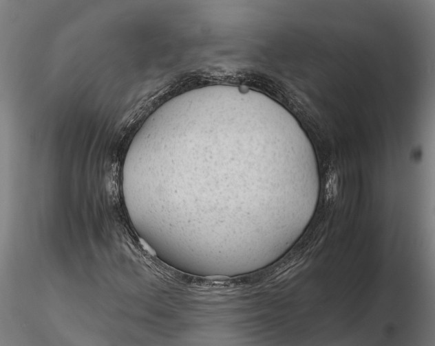 X0000115681156200912031413