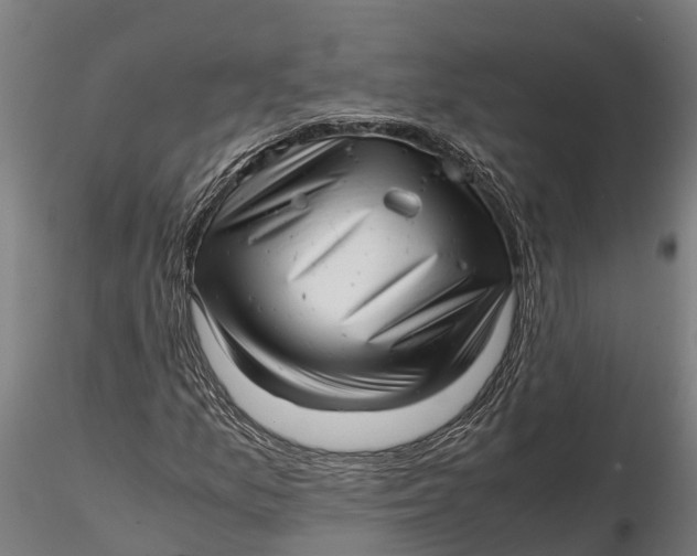 X0000115681157200912031413