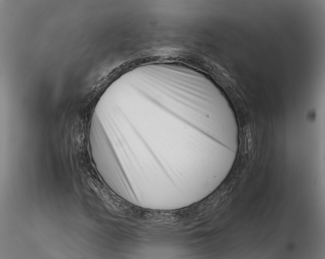 X0000115681158200912031413