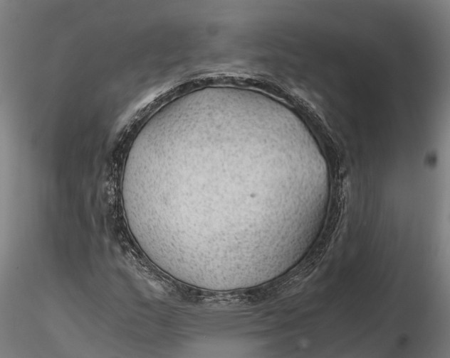 X0000115681159200912031413