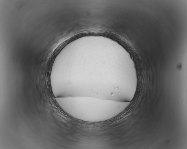 X0000115681160200912031413