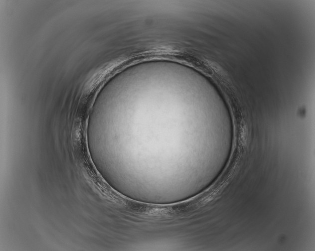 X0000115681161200912031413